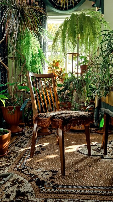 The Benefits of Incorporating Houseplants Into Your Living Space